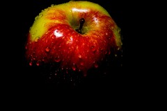 IMG_6509