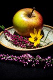 IMG_6545