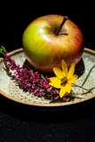 IMG_6547