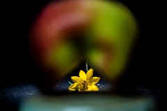 IMG_6566