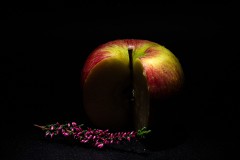 IMG_6581