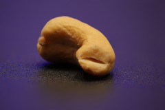 CashewKern
