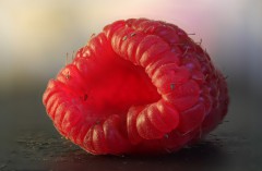 Himbeere