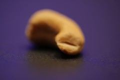 IMG_2900