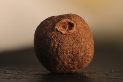 Pimentkorn