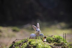 IMG_3385
