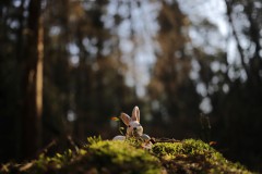 IMG_3400
