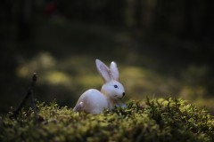 IMG_3403