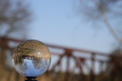 IMG_3457