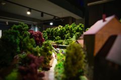 IMG_8898-Verbessert-NR