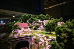 IMG_8900-Verbessert-NR