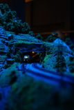 IMG_8906-Verbessert-NR