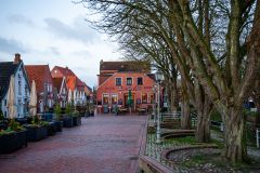 IMG_5568