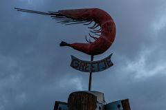 IMG_5571