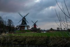 IMG_5584