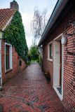 IMG_5585