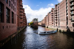 IMG_6707