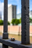 IMG_6723