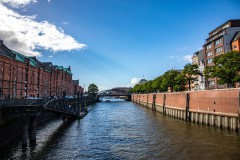 IMG_6745