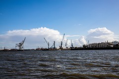 IMG_6778