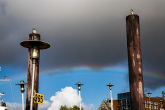 IMG_6785