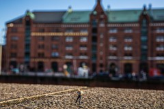 IMG_6900
