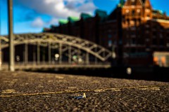 IMG_6902