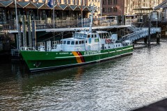 IMG_6916