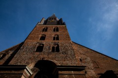IMG_6953