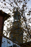 IMG_7021