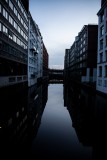 IMG_7081