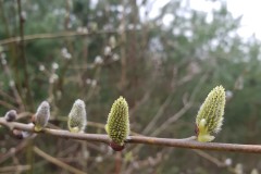 20200308_085827