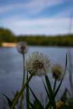 IMG_1256