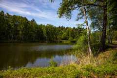 IMG_1265