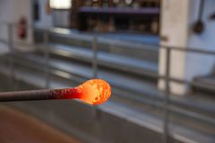 IMG_4470