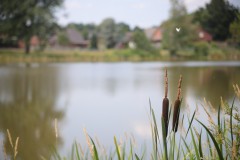 IMG_8470