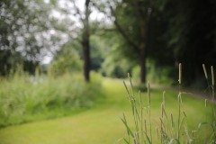 IMG_8496