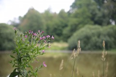 IMG_8497