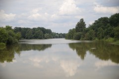 IMG_8547