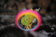 IMG_9878