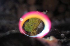 IMG_9887