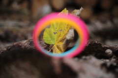 IMG_9890