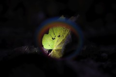 IMG_9894