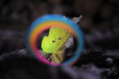IMG_9895