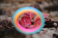 IMG_9898