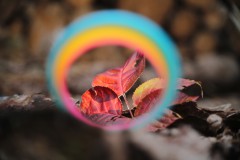 IMG_9900