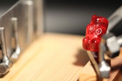 IMG_4591