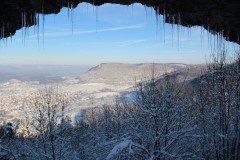 IMG_6419