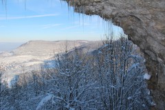 IMG_6420