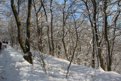 IMG_6721